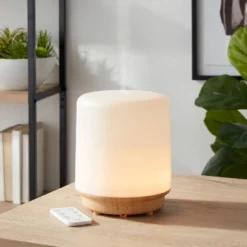 300ml Frosted Cylinder Form Diffuser With Remote - Project 62â„¢