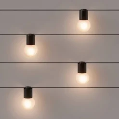 10ct Incandescent Outdoor String Lights G40 Frosted White Bulbs Black Collar - Project 62â„¢