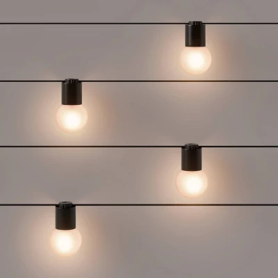 10ct Incandescent Outdoor String Lights G40 Frosted White Bulbs Black Collar - Project 62™