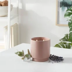 14oz Matte Ceramic Candle Lavender & Eucalyptus Lavender - Project 62â„¢